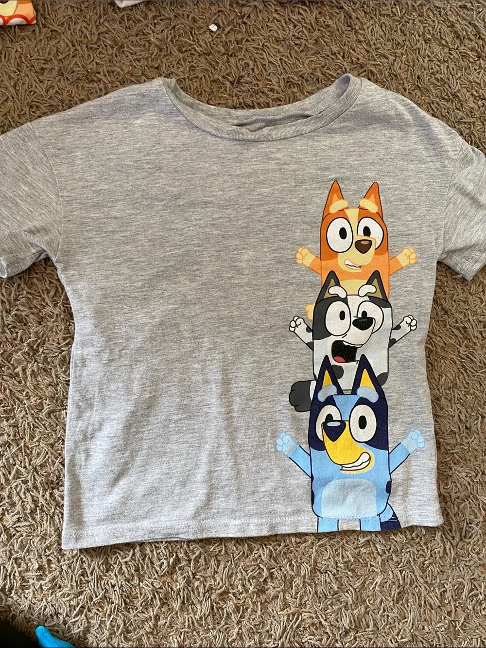 Kids Grey Bluey Graphic Tee - Grey/5